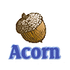 Acorn-Solutions.com.au