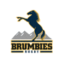 Brumbies