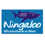 Ningaloo Whaleshark N Dive