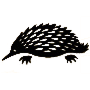 Wildlife Preservation Society of Australia Limited