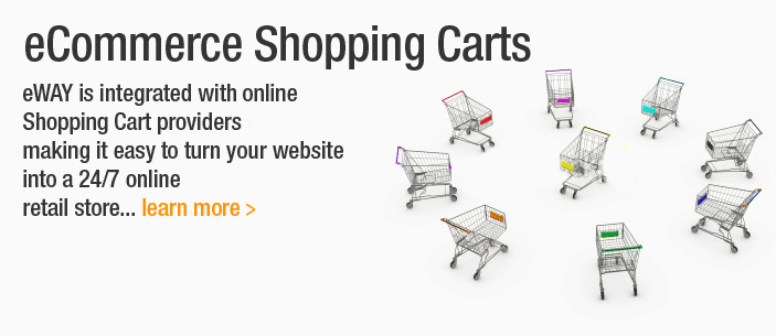 Accept credit cards online
